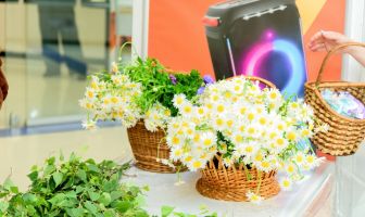 Зелені свята (30-31.05.2026)